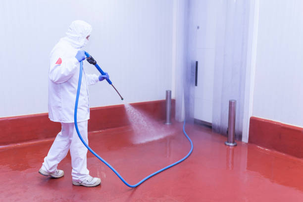 Best Driveway Cleaning and Restoration in South Barrington, IL
